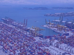 Importadores y exportadores World Import Data